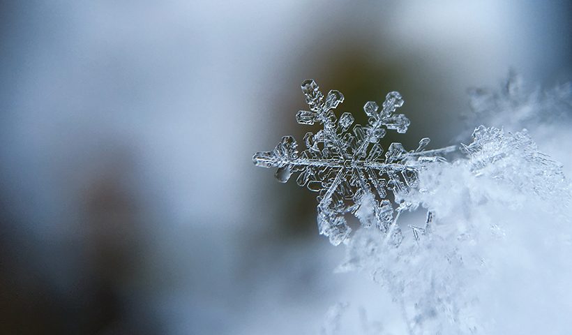 Up close photo of a snowflake